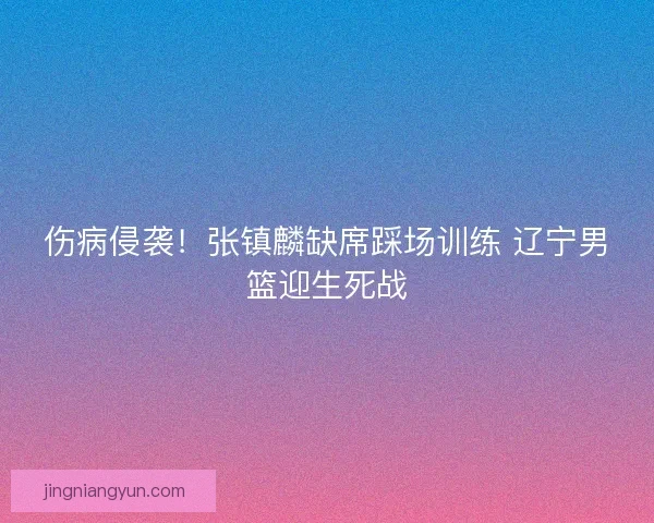 伤病侵袭！张镇麟缺席踩场训练 辽宁男篮迎生死战
